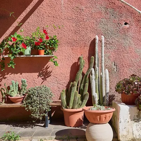 La Casa Di Simba A